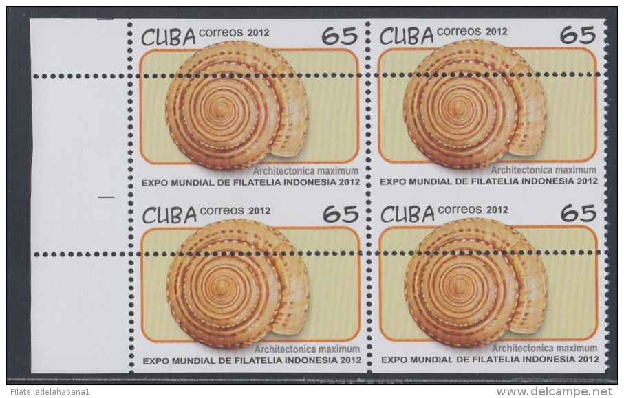 2012.54 CUBA 2012 MNH PERFORATION ERROR. EXPO MUNDIAL DE INDONESIA. CARACOLES , SEASHELL . BLOCK 4. SNAIL - Imperforates, Proofs & Errors