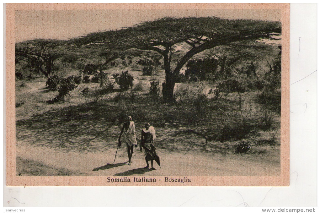 SOMALIA ,  Boscaglia - Somalia