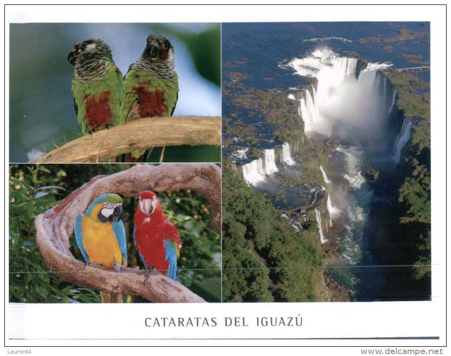 (PH 200) Brazil - Iguazu Waterfall And Parrots Birds - Autres