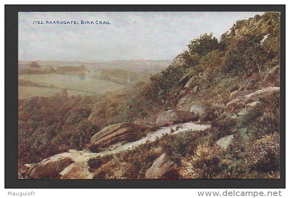 DF / ANGLETERRE / HARROGATE / BIRK CRAG / PAYSAGE DU YORKSHIRE : LES MOORS - Harrogate