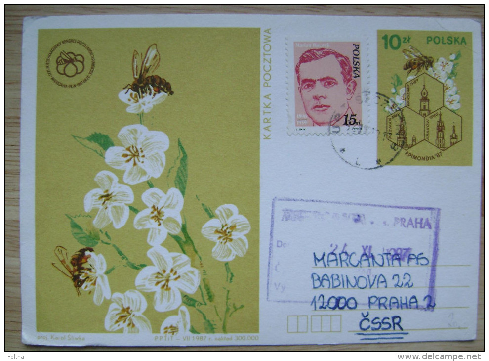 1987 POLAND POLSKA USED POSTAL CARD APIMONDIA BEE BEES - Honeybees