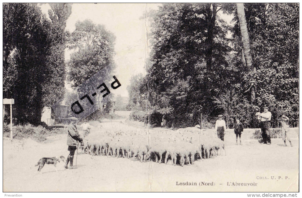 LESDAIN (Nord) - L´Abreuvoir -superbe Carte Très Animée - Marcoing