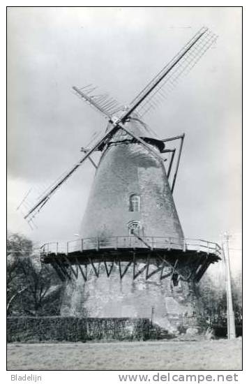 BOECHOUT (Antwerpen) - Molen/moulin - De Stenen Molen Met Gebroken Wieken Vóór De Restauratie. Historische Opname! - Boechout