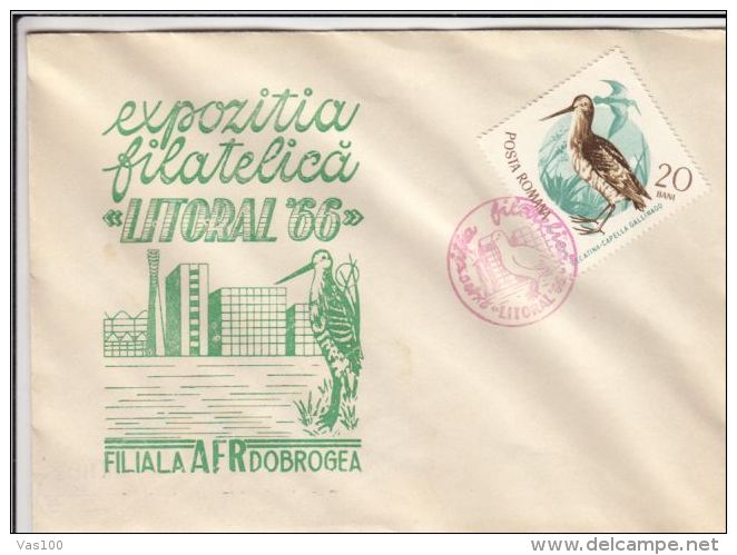 BIRD, COMMON SNIPE, SPECIAL COVER, 1966, ROMANIA - Cigognes & échassiers