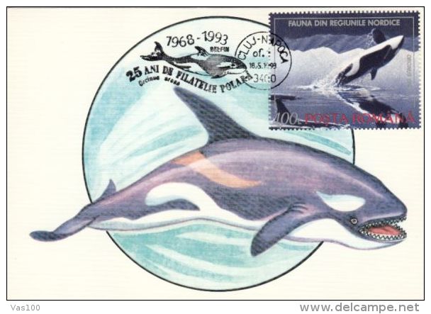 WHALE, ORCA, CM, MAXICARD, CARTES MAXIMUM, 1993, ROMANIA - Whales