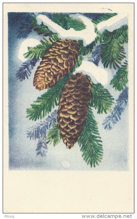 Chrismas Card. Used 1949  Frederikshavn  Denmark.  S-1067 - Altri & Non Classificati