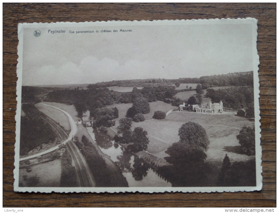 Vue Panoramique Du Château Des Mazures Pepinster - Anno 19?? ( Zie Foto Voor Details ) !! - Pepinster