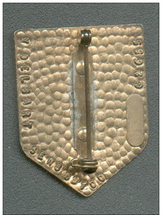 Insigne  " 2e DB DIVISION BLINDEE " DELSART  G2655 - Armée De Terre