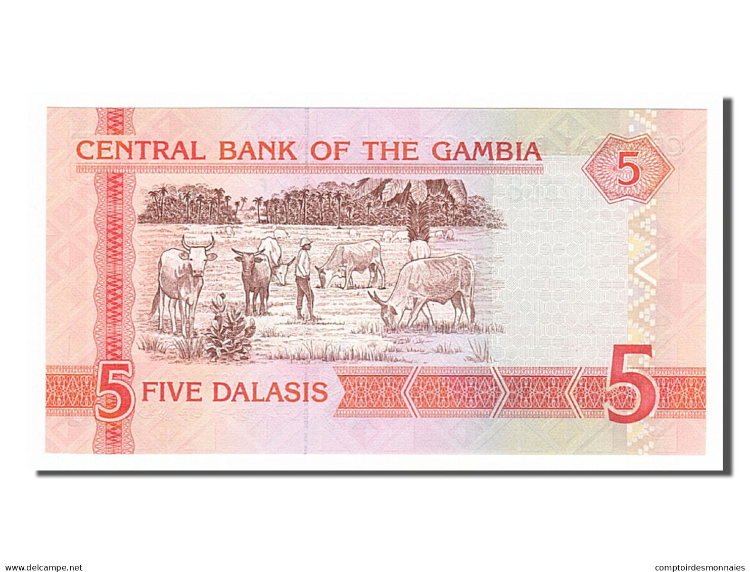 Billet, Gambia, 5 Dalasis, 2001, NEUF - Gambia