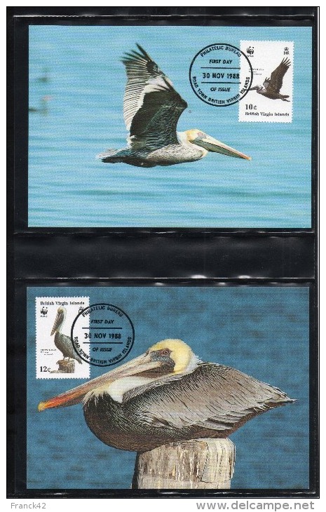 Iles Vierges Britanniques. Wwf. Pélican .  1988.  Lot De 4  Cartes Maximum - British Virgin Islands