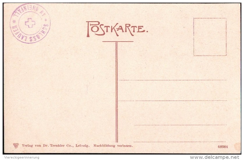 ! Alte Postkarte Schaffhausen, Neuhausen, Rheinfall, Eugen Felle , Schweiz, Suisse - Neuhausen Am Rheinfall