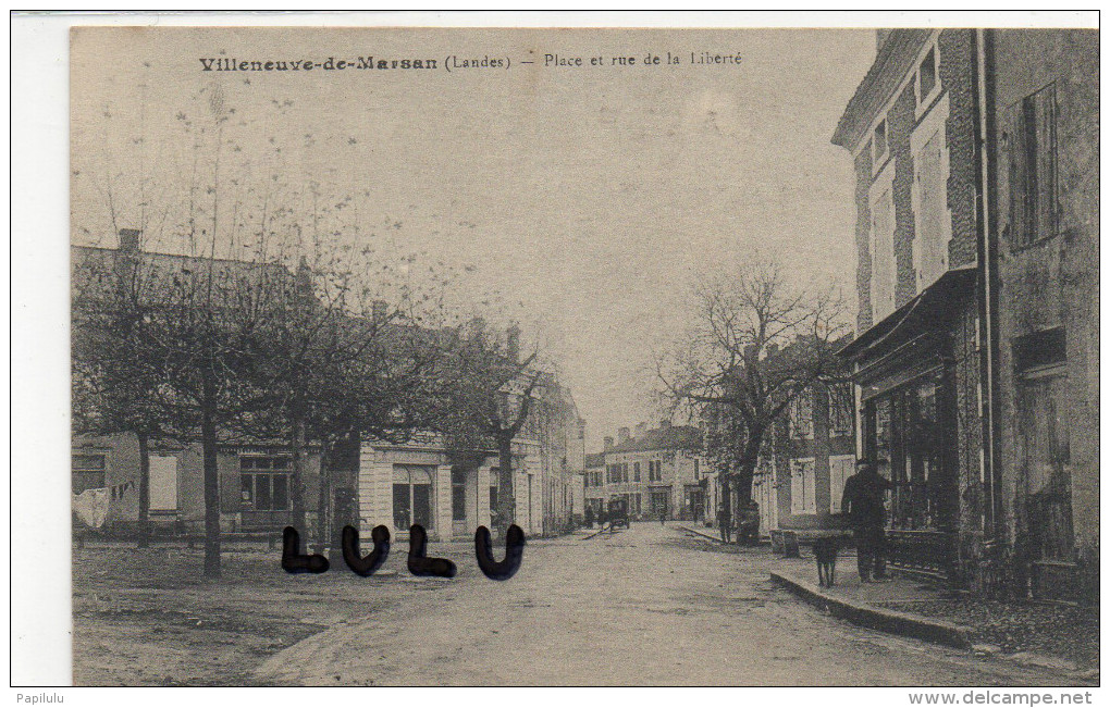 DEPT 40 : Villeneuve De Marsan , Place Et Rue De La Liberté - Villeneuve De Marsan