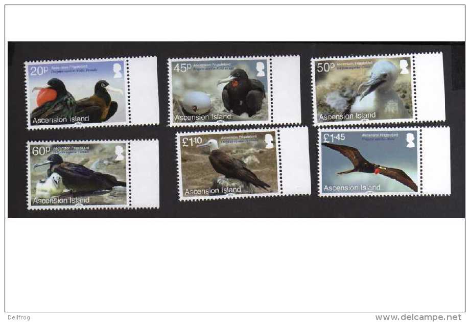 Ascension 2013 Frigate Bird Set MNH - Other & Unclassified