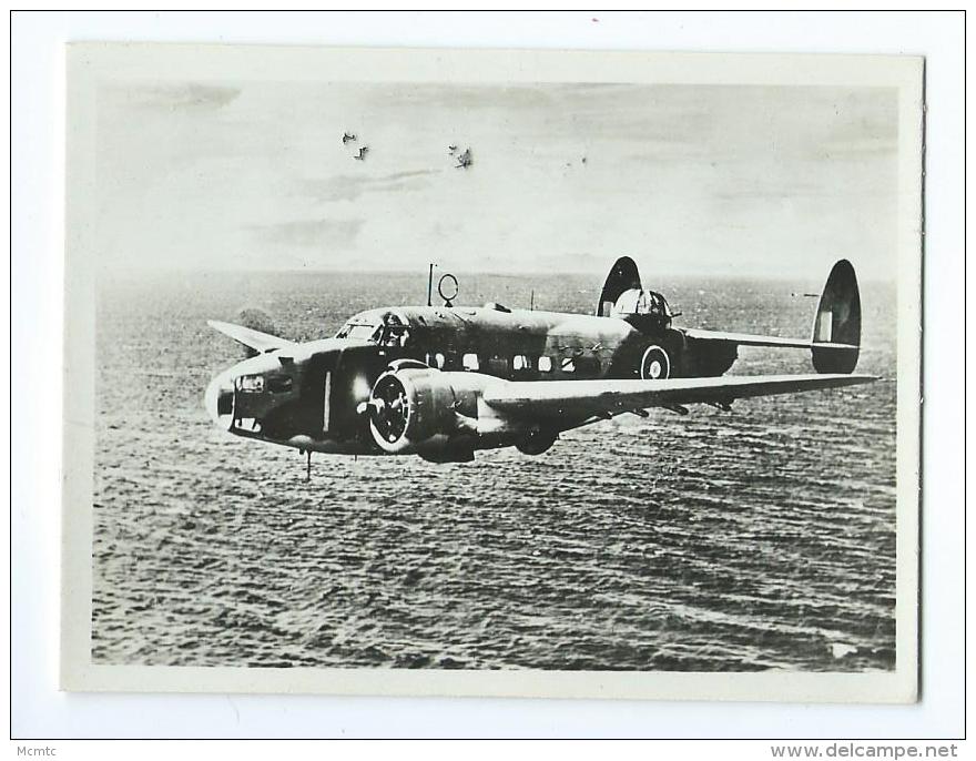 12 Photos D'avions- Bombardiers- Chasseurs- Planeurs- L'Aviation Alliée - Autres & Non Classés