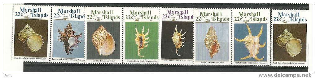 Coquillages Des ILES MARSHALL (Océanie)  8  T-p Neufs **  Côte 10.00  € - Marshall Islands