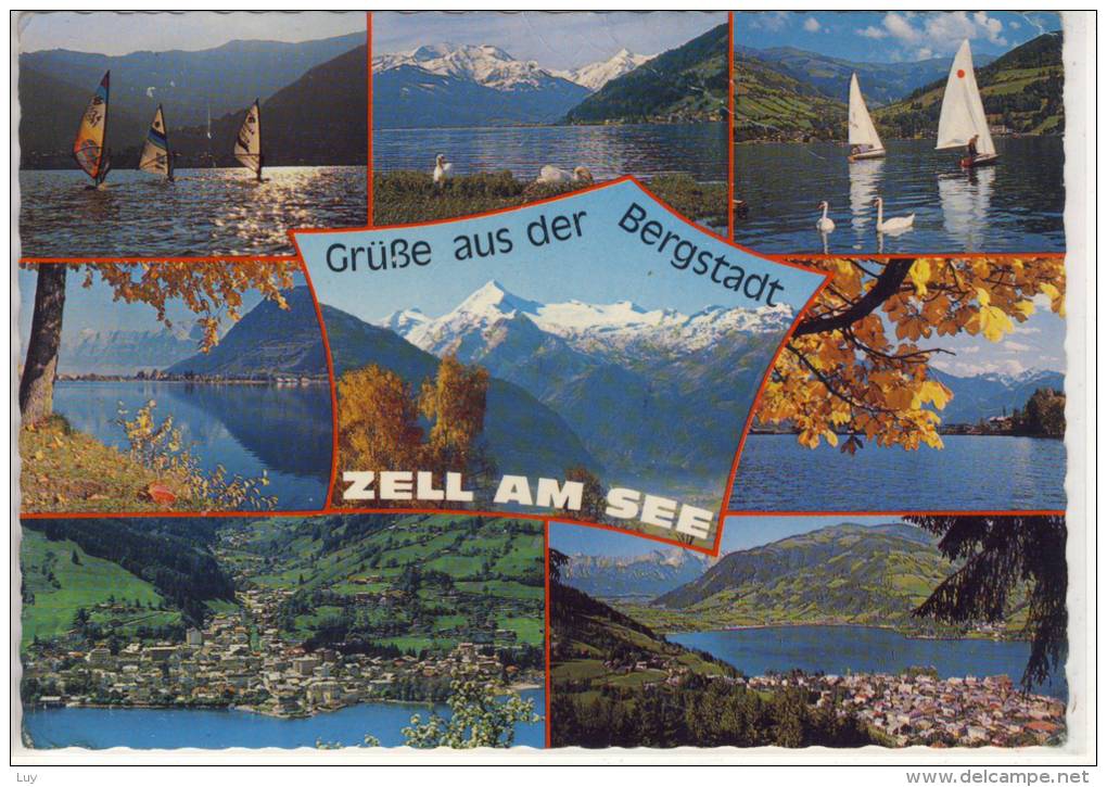 ZELL AM SEE - Mehrbildkarte - Grüße Aus Der Bergstadt - Maria Alm