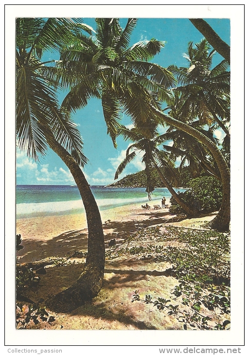 Cp, Seychelles, Mahe, Anse Gaulette , Voyagée - Seychellen