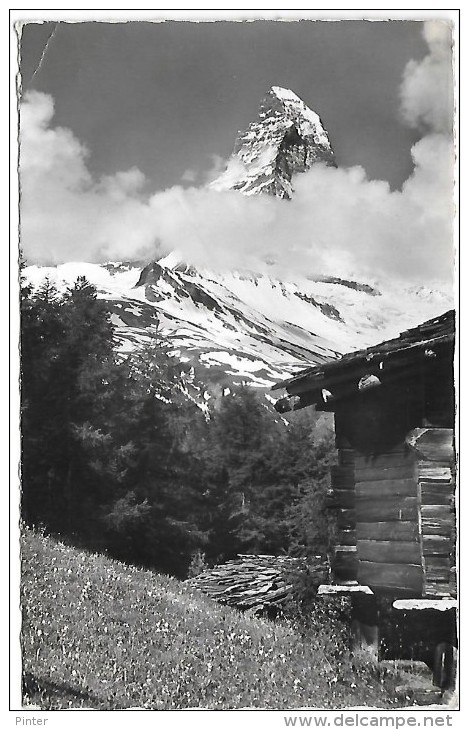 SUISSE - ZERMATT Und Matterhorn - Matt