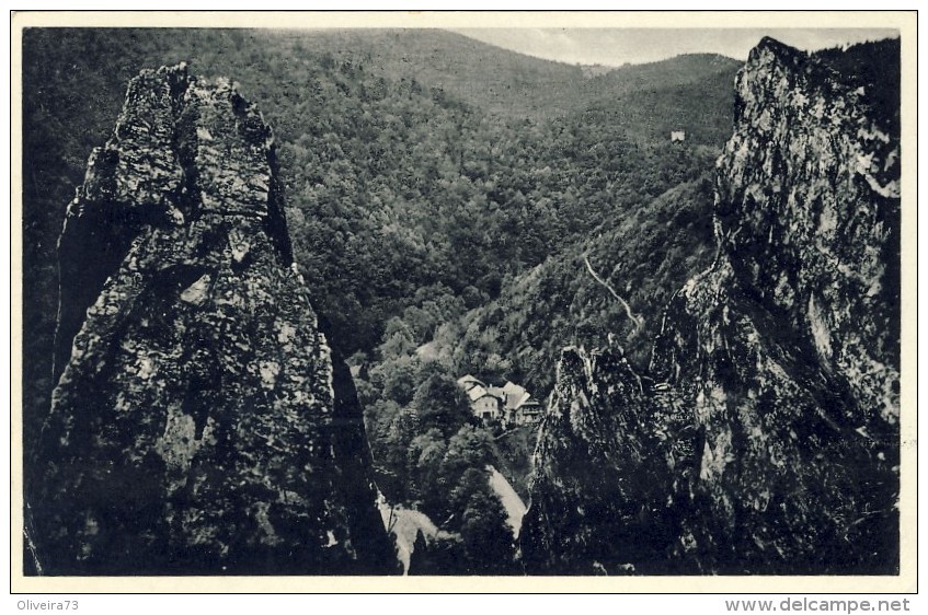 Waidmannsheilwaldhaus Mit Hindenburgfelsen Und Eberstein - 2 Scans - Bad Blankenburg