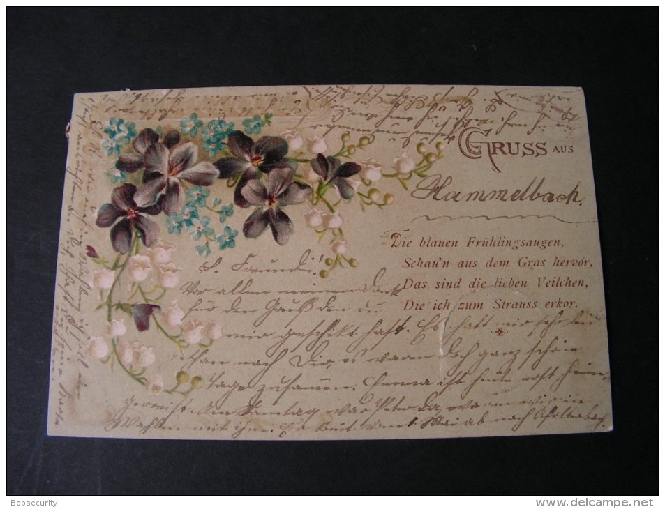 == Hammelbach Fürth  Blumen Gruss Aus .. 1902  Darmstadt - Sonstige & Ohne Zuordnung