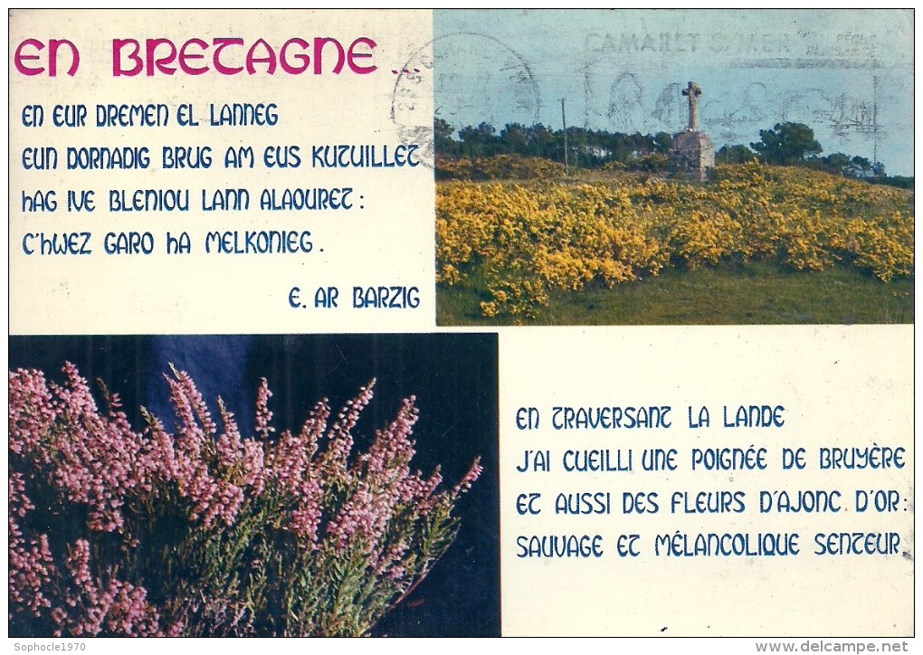 BRETAGNE - 29 - FINISTERE - Fleurs De Bretagne - Ajonc Et Bruyère - CPSM GF Couleur - Carte Multivues - Le Pouldu