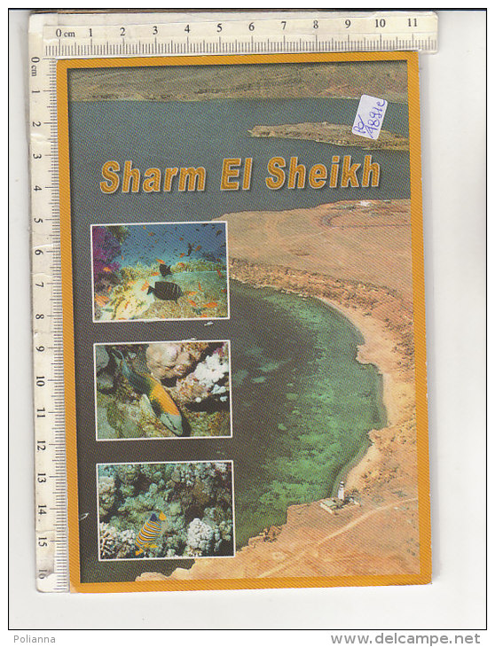 PO4891C# EGITTO - EGYPT - SHARM EL SHEIKH - RED SEA - PESCI TROPICALI  VG 1999 - Sharm El Sheikh