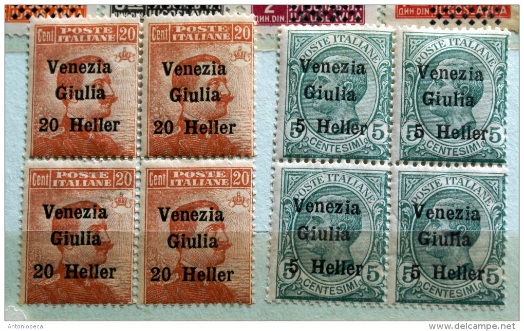 ITALIA REGNO - 1919, ITALIAN OCCUPATION VENEZIA GIULIA BLOCKS MNH** - Vénétie Julienne