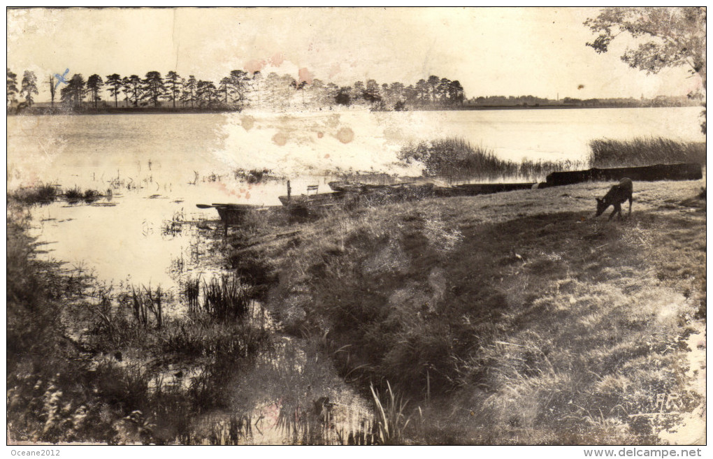 78 Bois D'arcy. L'etang De Saint Quentin - Bois D'Arcy