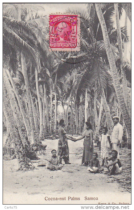 Océanie -  / Samoa / Cocoa-nut Palms /  Nu Nude / Postal Mark Pago Pago 1906 - Samoa