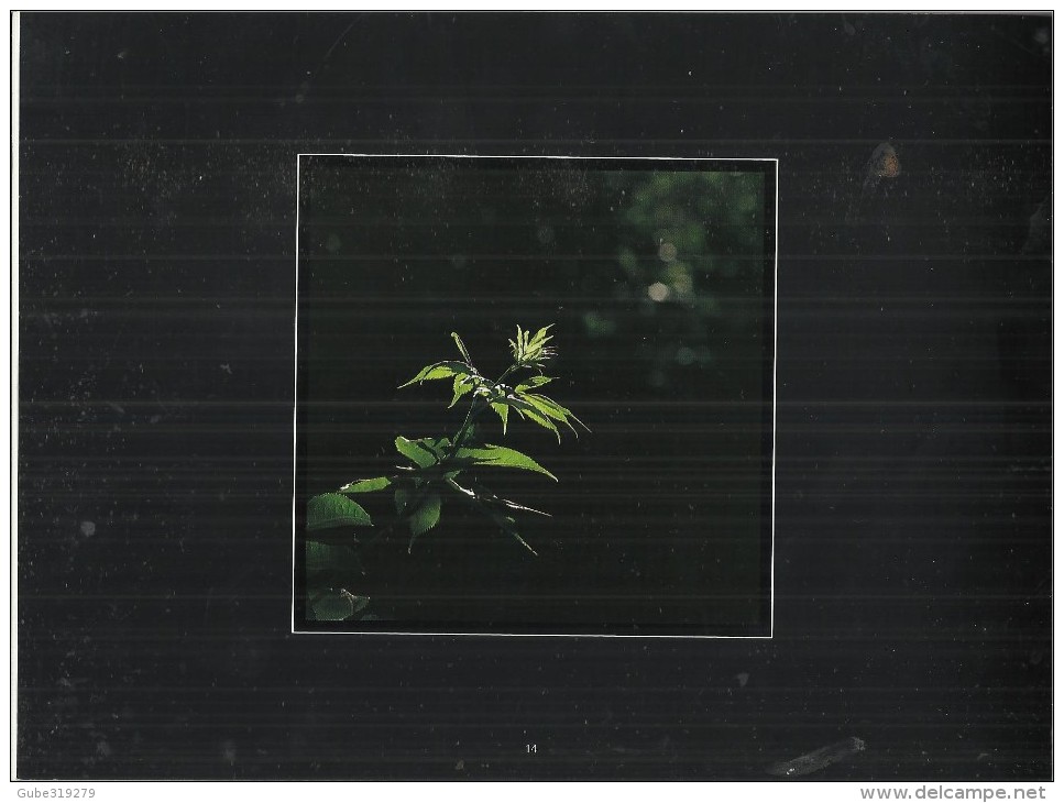 ANDORRA 2005 - HARDCOVER BOOK OF PHOTOGRAPHS "ANDORRA & NATURE" BY ARTIST PHOTOGRAPHER JAUME RIBA SABATER - 4 LANGUAGES