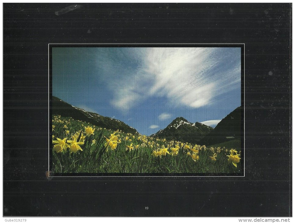 ANDORRA 2005 - HARDCOVER BOOK OF PHOTOGRAPHS "ANDORRA & NATURE" BY ARTIST PHOTOGRAPHER JAUME RIBA SABATER - 4 LANGUAGES