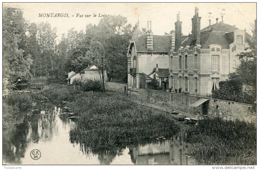 CPA 45 MONTARGIS VUE SUR LE LOING - Montargis