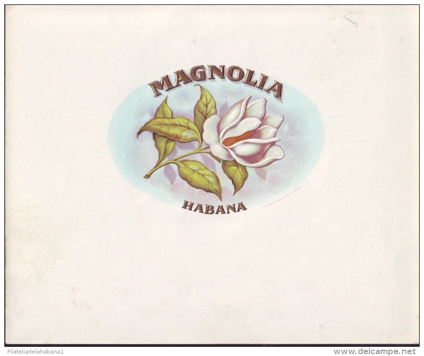 T42 CUBA TOBACCO OLD LEBEL. Circa 1930 MAGNOLIA - Etiquettes