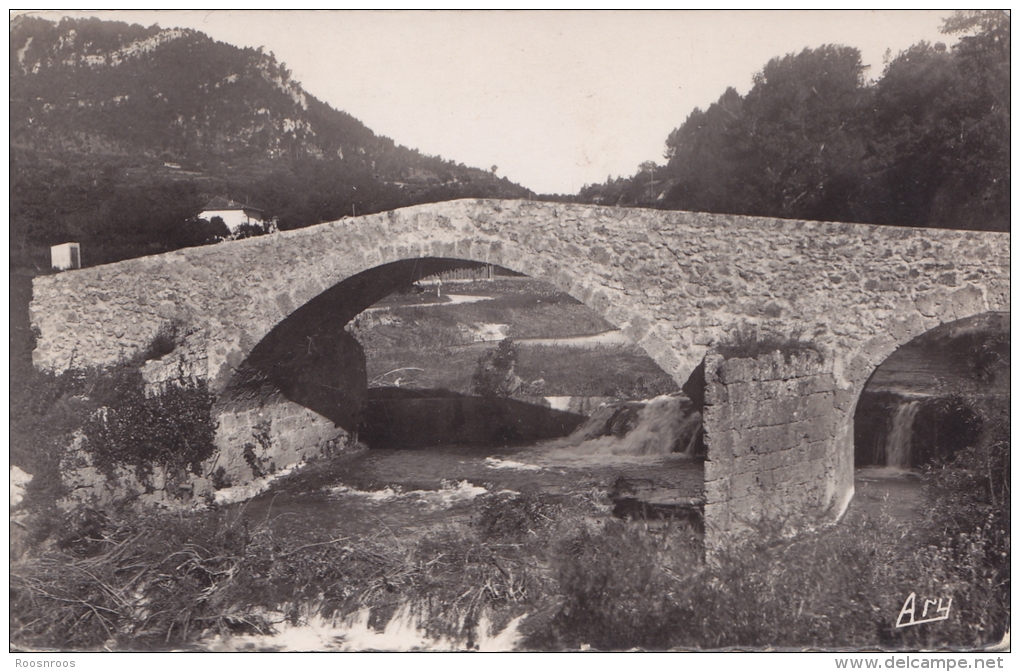 CP  SALERNES 83 VAR LE PONT DU GOUGARET - Salernes