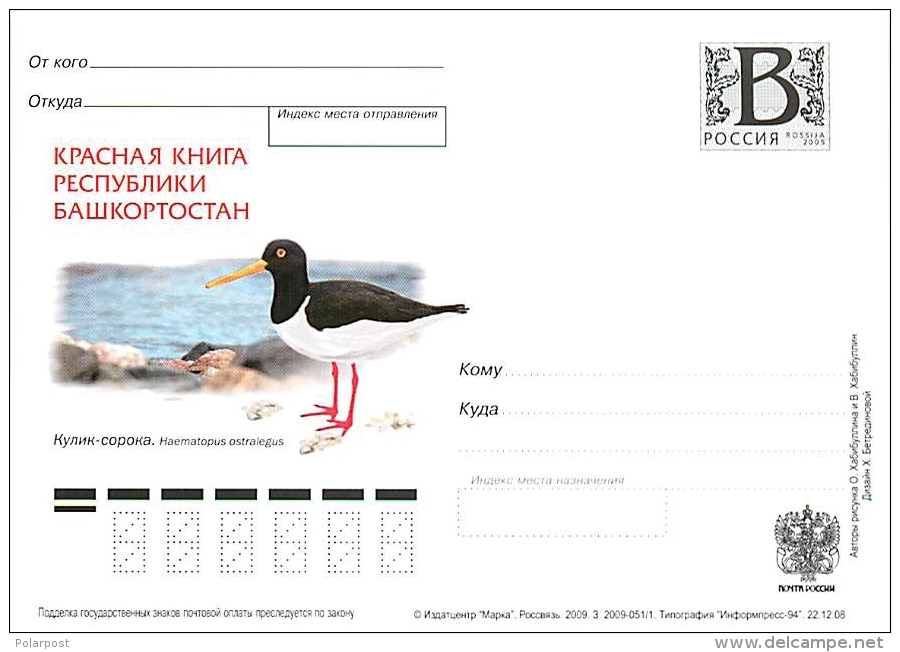 RUSSIA 2009 B42-46 Red Book Of The Republic Of Bashkortostan - Albatrosse & Sturmvögel