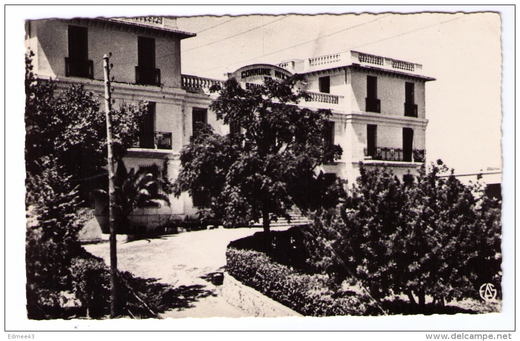 CPM Souk-Ahras (Algérie), Hôtel De La Commune Mixte, Éditions Alexandra Sirecky, Oran, Années 1950 - Souk Ahras
