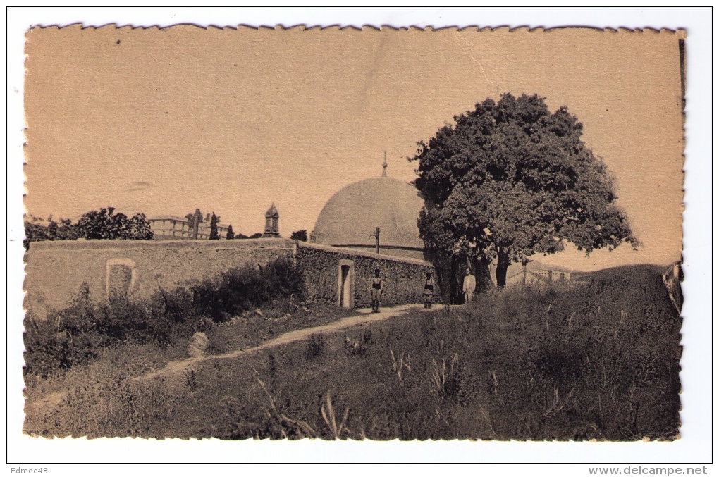 CPSM Souk-Ahras (Algérie), Marabout De Sidi Messaoud, Années 1940 - Souk Ahras