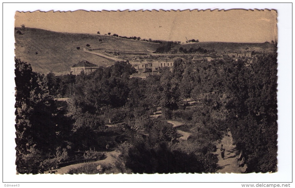 CPSM Souk-Ahras (Algérie), Jardin Public, Années 1940 - Souk Ahras
