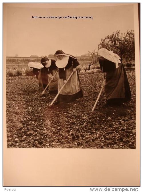 PHOTO PROPAGANDE ANNEES 1940 - RELIGIEUSES AGRICULTRICES AGRICULTURE - TIRAGE D´EPOQUE - 13X18 - Professions