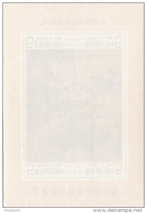 TAIWAN  IMPERFORATE BLOCK USED - Blocs-feuillets