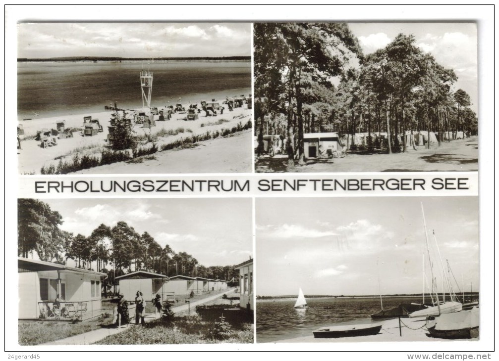 CPSM SENFTENBERG (Allemagne-Brandebourg) - Erholungszentrum Senftenberger See : 4 Vues - Senftenberg