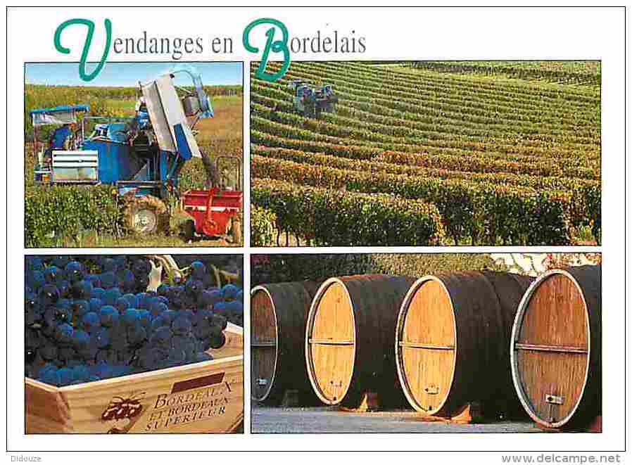 Vignes - Vendanges En Bordelais - Multivues - Machines Agricoles - Tonneaux - Vendanges - Raisins - Vin - Voir Scans Rec - Vignes