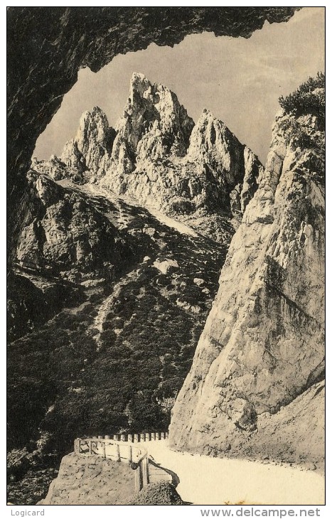 BELLUNO - STRADA DELLE DOLOMITI AL PASSO FALZAREGO 1934 - Udine