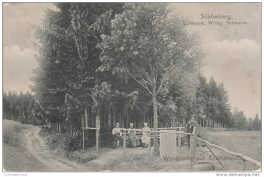 AK Waldpartie Schömberg Lossburg Schillereiche Bei Freudenstadt Stuttgart Freiburg Horb - Schömberg