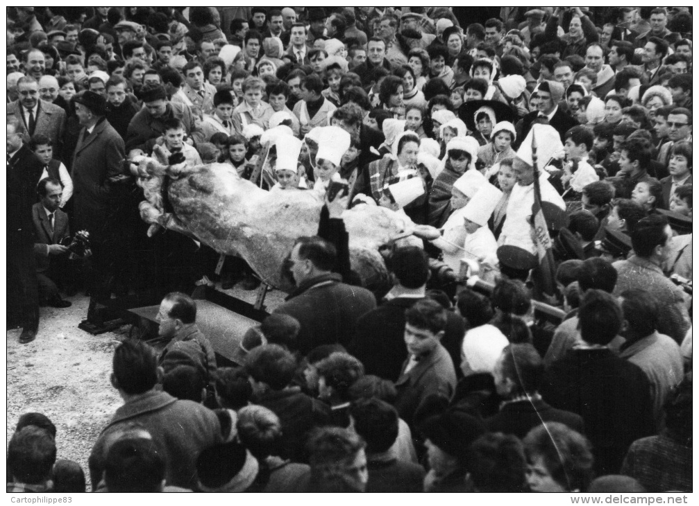 VAR 83 BARJOLS FÊTE DE LA SAINT MARCEL - Barjols