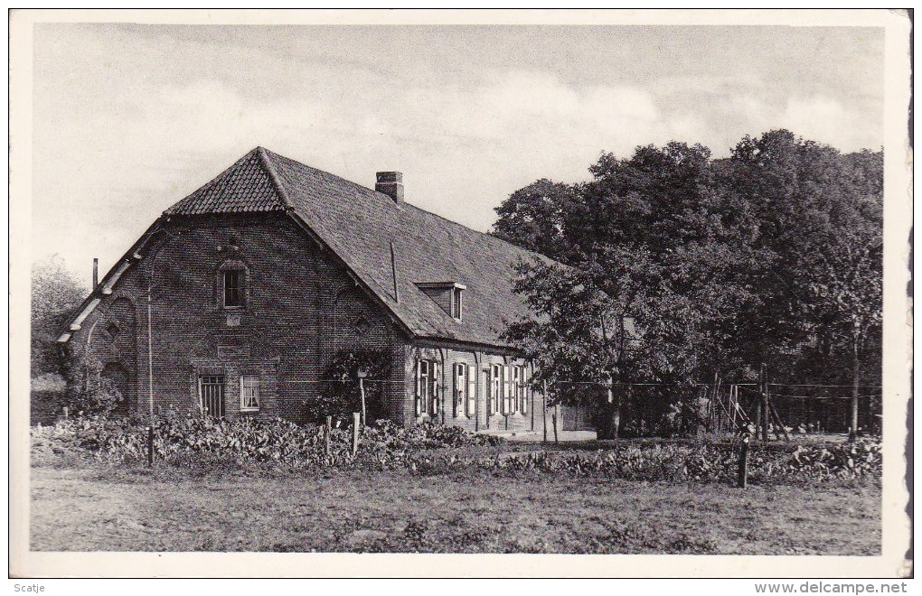 Westmalle   Grote Hoeve,  Tehuis Voor Padvinders;  FOTOKAART - Malle