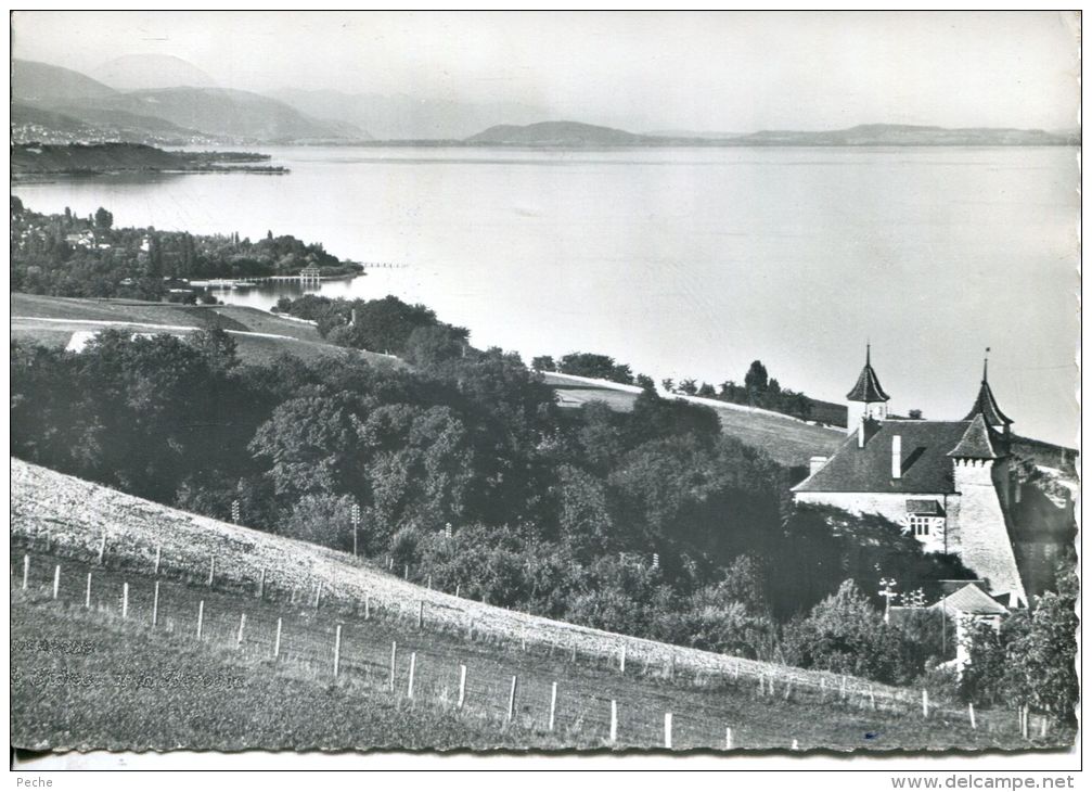 N°37897 FD -cpsm Château De Vaumarcus Et La Béroche- - Vaumarcus