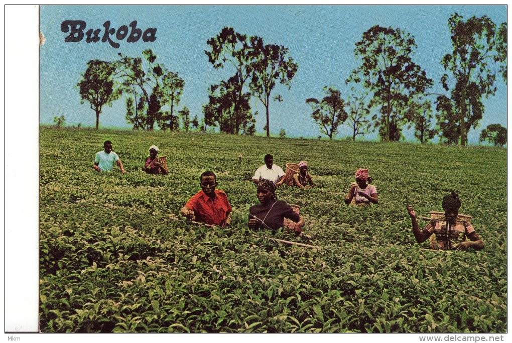 Bukoba - Uganda