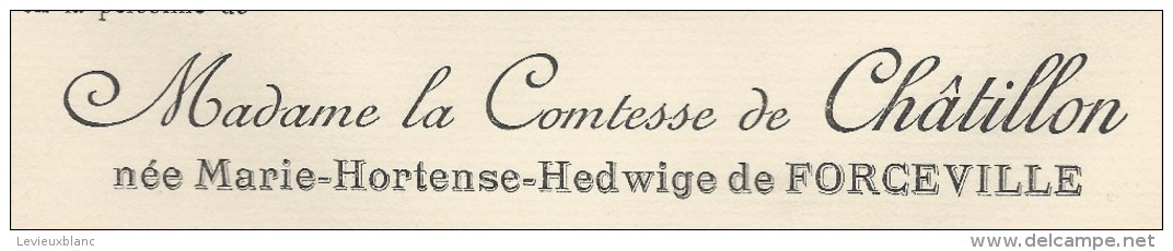 Annonce Décés/Mrie-Hortense-Hedwige De Forceville Comtesse De Châtillon/39ans/ 1893   FPD12 - Obituary Notices