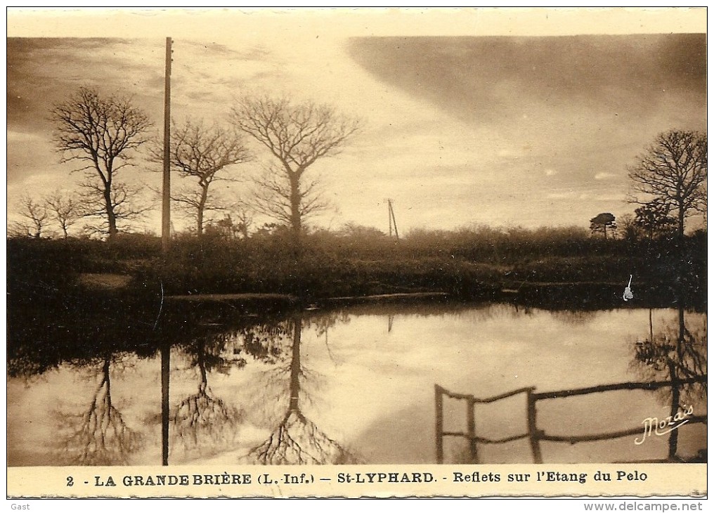 44  SAINT  LYPHARD    LA  GRANDE   BRIERE    REFLETS  SUR  L  ETANG  DU  PELO - Saint-Lyphard